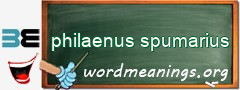 WordMeaning blackboard for philaenus spumarius